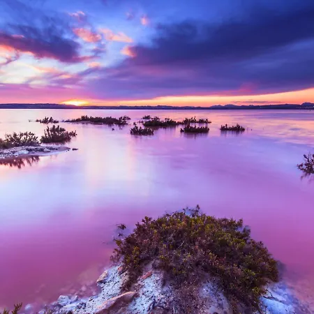 Apartman Casa Mar Terraza Y Piscina Junto Al Mediterraneo Torrevieja